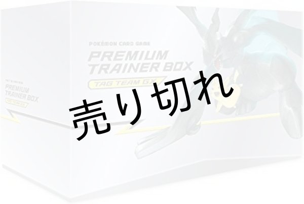 画像1: プレミアムトレーナーボックス TAG TEAM GX【未開封】 (1)