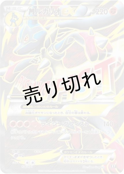 画像1: 【PSA10】MルカリオEX［176/171］ (1)