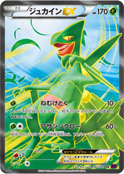 画像1: 【PSA10】ジュカインEX【SR】{082/081} (1)